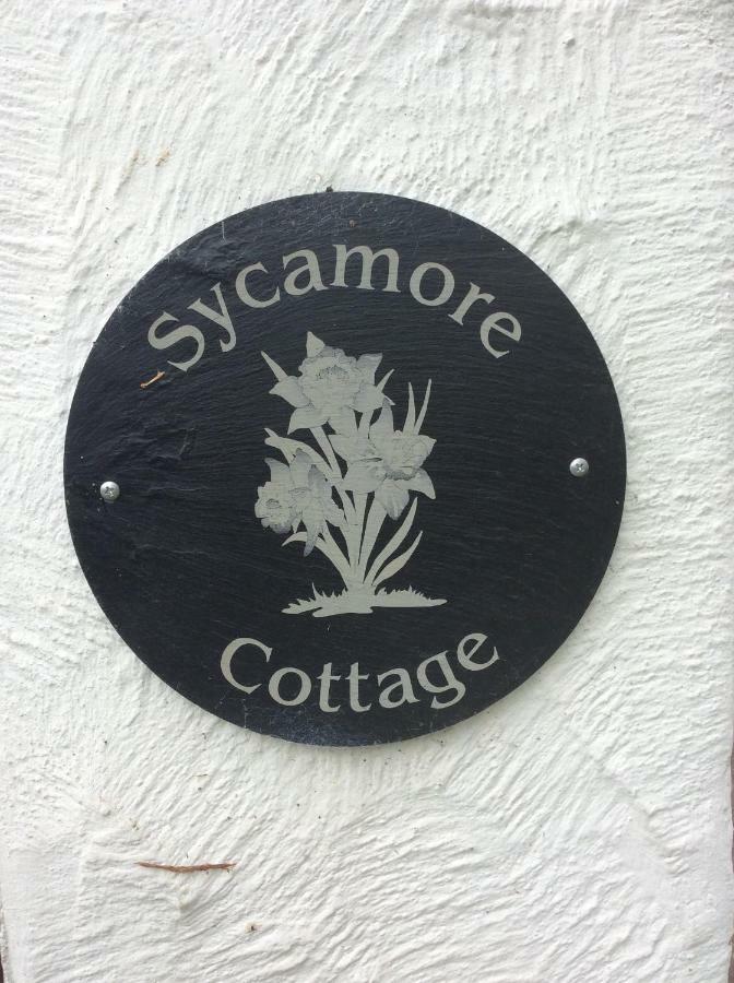 Sycamore Cottage Conwy Exterior foto